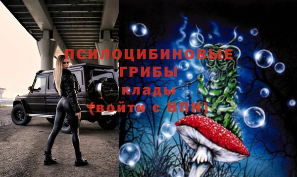 МДПВ Арсеньев
